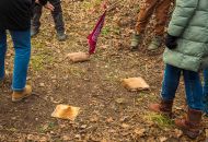 Interessante Biberführungen rund um den Vierthaler Teich